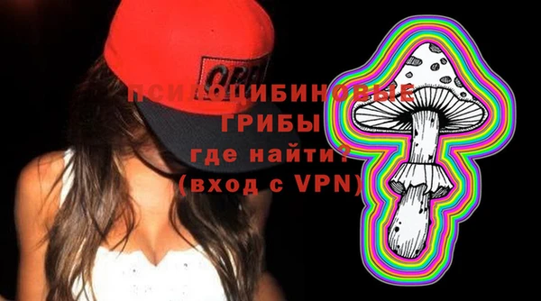 амф Абинск