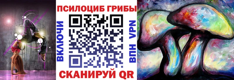 магазин продажи   Дербент  Галлюциногенные грибы Cubensis 