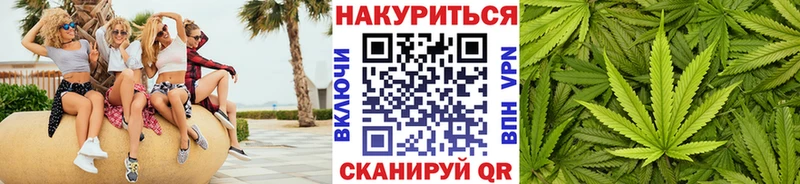 Бошки Шишки планчик Дербент